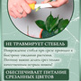7.13. Нож / Цветоводство. Агроклассы