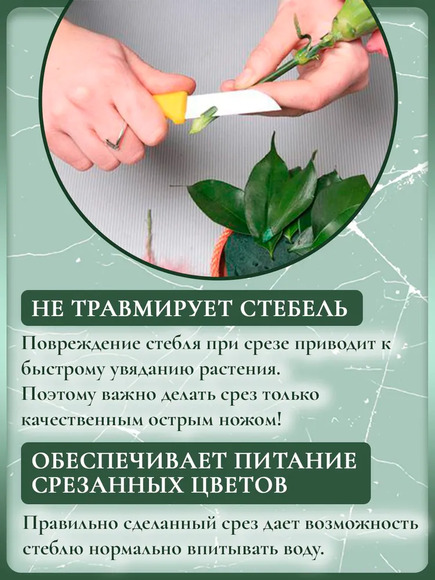 7.13. Нож / Цветоводство. Агроклассы