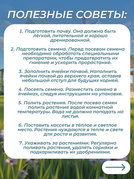 7.29. Минипарник / Цветоводство. Агроклассы