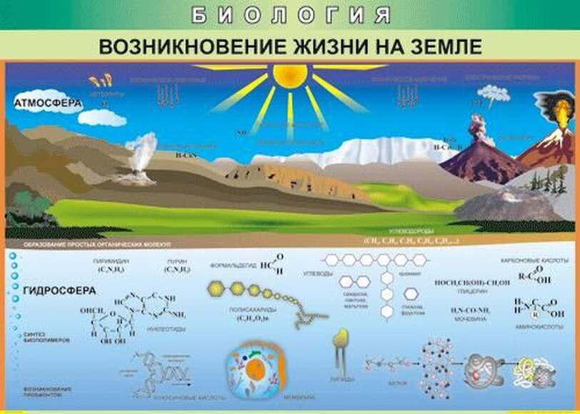 Таблица Возникновение жизни на земле  (винил)