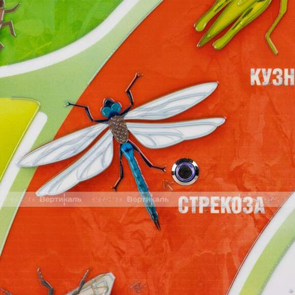 Стенд обучающий, тактильно-звуковой «Насекомые», с интегрированной индукционной системой, 440x640 мм