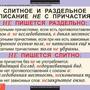 Таблицы Основные правила орфографии и пунктуации 5-9 класс 12 шт.