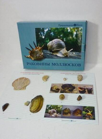 5.23. Комплект коллекций / Аквакультура. Агроклассы