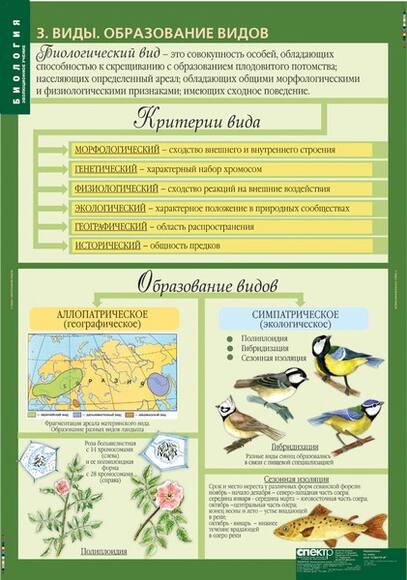 Комплект таблиц. Биология 10-11 классы. Эволюционное учение (10 таблиц)