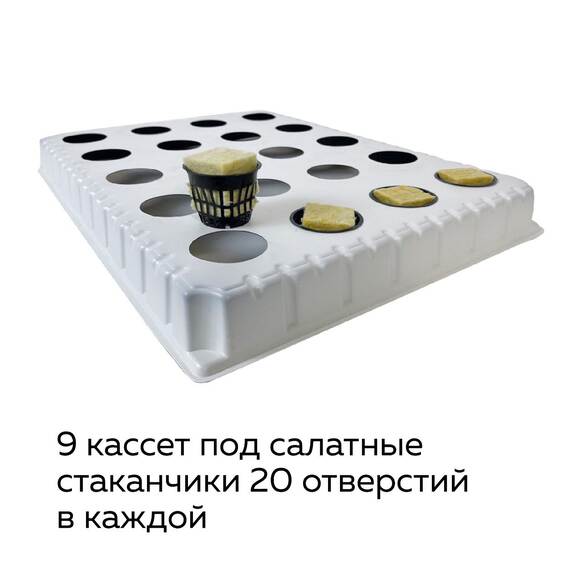 7.9. Комплект лабораторного оборудования «От зародыша до взрослого растения» / Цветоводство