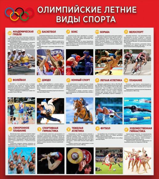 Стенд Олимпийские летние виды спорта, 0,8x0,9 м, без карманов