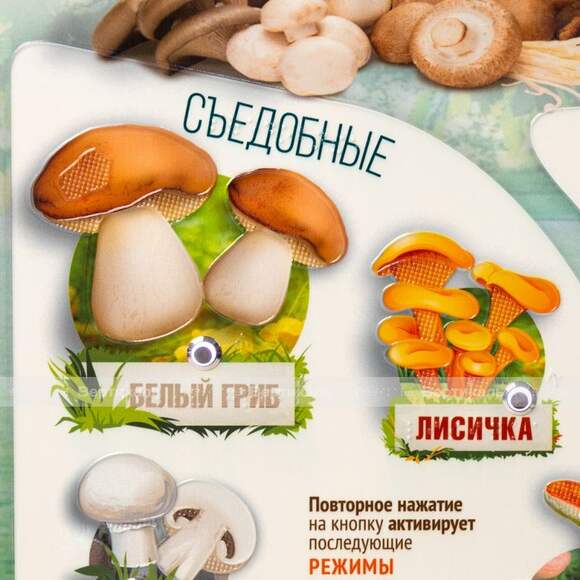 Стенд обучающий, тактильно-звуковой «Грибы», с интегрированной индукционной системой, 440x640 мм