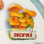 Стенд обучающий, тактильно-звуковой «Грибы», с интегрированной индукционной системой, 440x640 мм