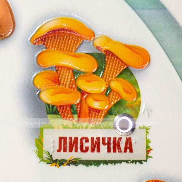 Стенд обучающий, тактильно-звуковой «Грибы», с интегрированной индукционной системой, 440x640 мм