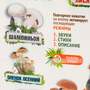 Стенд обучающий, тактильно-звуковой «Грибы», с интегрированной индукционной системой, 440x640 мм