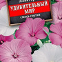7.31. Семена цветов (комплект) / Цветоводство. Агроклассы
