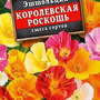 7.31. Семена цветов (комплект) / Цветоводство. Агроклассы