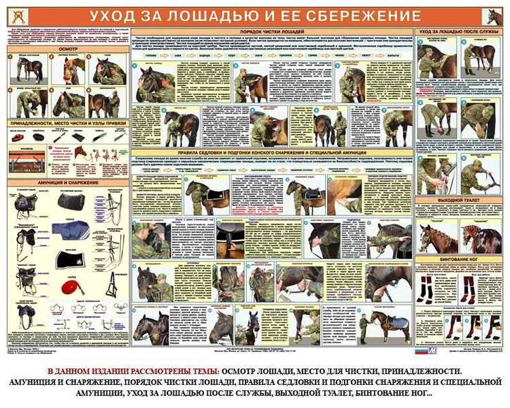 Комплект из 6 плакатов Служебное коневодство, 1000х700 мм  (бумага, 150 гр./кв. м)