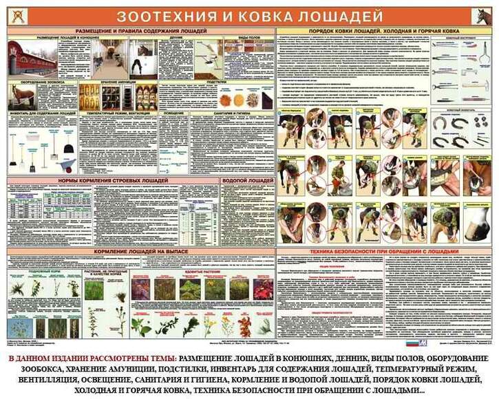 Комплект из 6 плакатов Служебное коневодство, 1000х700 мм  (бумага, 150 гр./кв. м)
