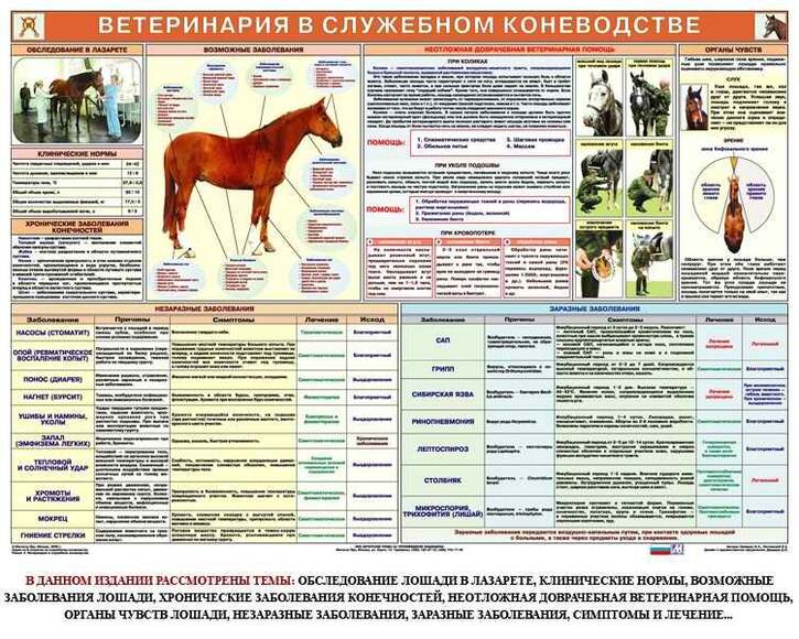 Комплект из 6 плакатов Служебное коневодство, 1000х700 мм  (бумага, 150 гр./кв. м)