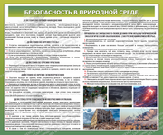 Стенд "Безопасность в природной среде № 3" (1,2х1 м, Эконом)