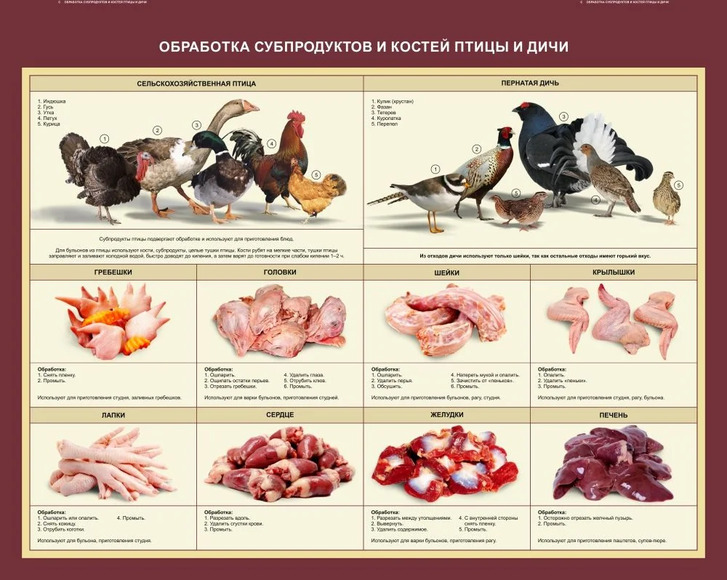 6.12. Стенд «Обработка субпродуктов и костей птицы и дичи» / Биотехнологии и пищевое производство