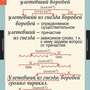 Таблицы Русский язык 7 класс 7 шт.