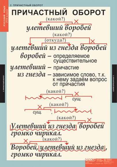 Таблицы Русский язык 7 класс 7 шт.