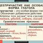 Таблицы Русский язык 7 класс 7 шт.