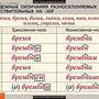 Таблицы Русский язык. Орфография. 5-11 классы 15 шт