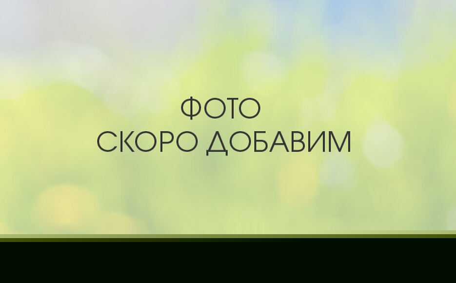 Фотограмметрическое программное обеспечение ARA AgroTech PhotoPlanner - EDU - 01