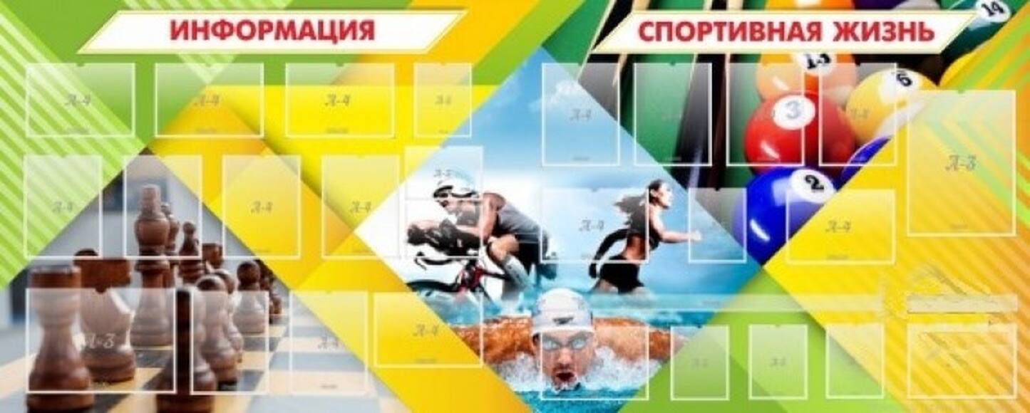 Стенд Информация, 3х1,2 м, 18 карманов А4, 5 карманов А5,  2 кармана А3, карманы 1х0,05, 0,32х0,05