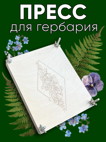 1.27. Набор для проектной деятельности «Изготовление гербария» / Генетика и селекция растений