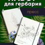 1.27. Набор для проектной деятельности «Изготовление гербария» / Генетика и селекция растений