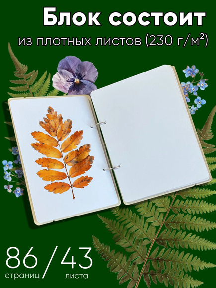 1.27. Набор для проектной деятельности «Изготовление гербария» / Генетика и селекция растений
