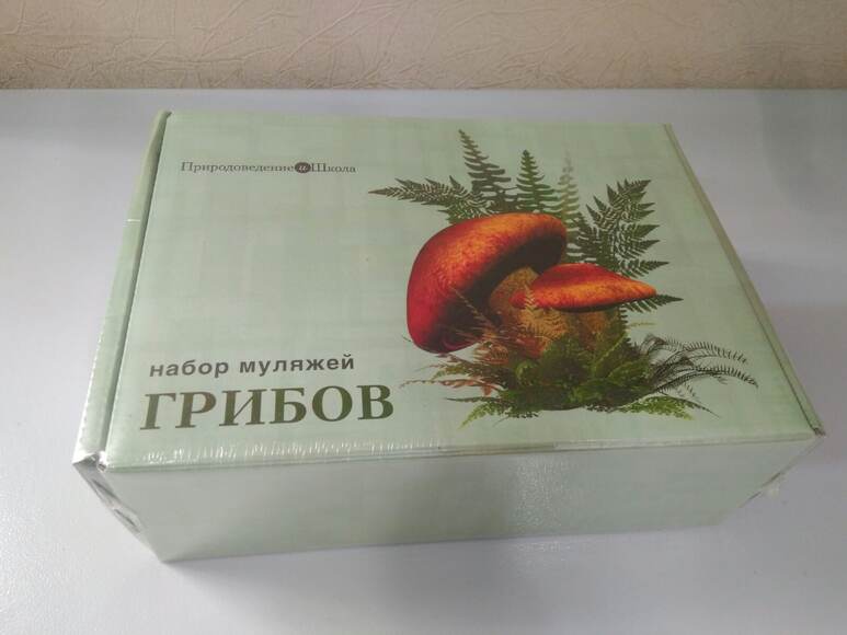 2.12.13. Муляжи съедобных и ядовитых грибов (838-Приказ)