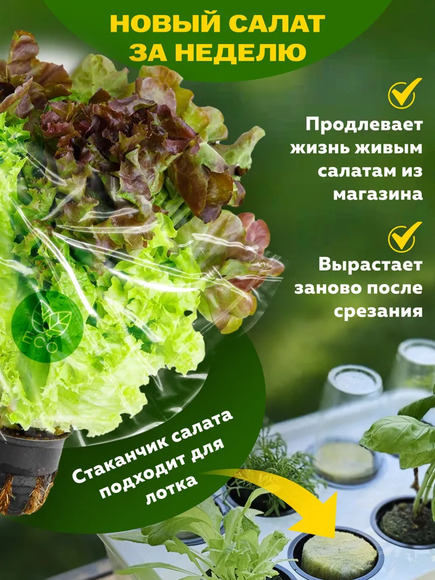 1.20.Т2 Комплект оборудования «Типы почв и рост растений» / Генетика и селекция растений