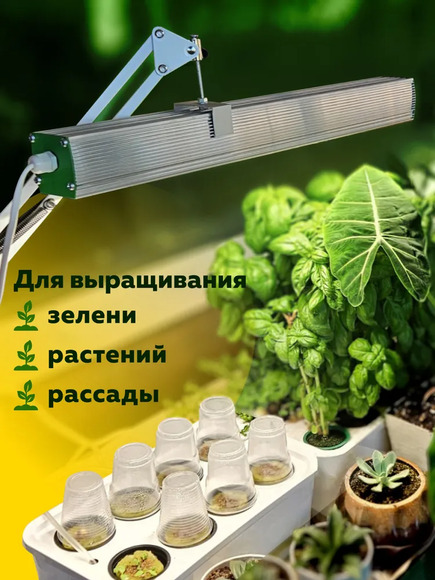 1.20.Т2 Комплект оборудования «Типы почв и рост растений» / Генетика и селекция растений