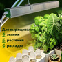 1.21.Т2 Комплект практикума для изучения сельскохозяйственных культур / Генетика и селекция растений