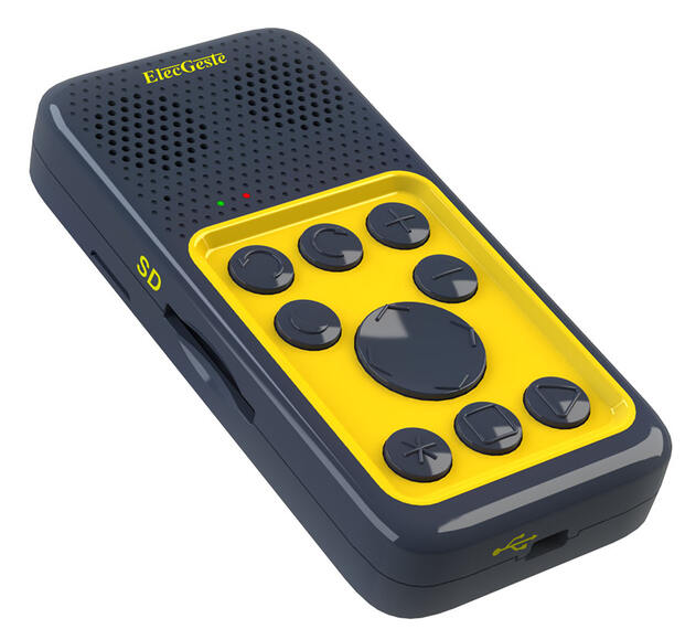 Тифлофлешплеер ElecGeste DTBP-202 Спутник