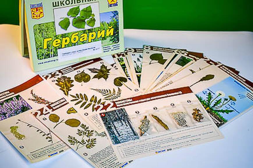 2.16.6. Комплект гербариев по систематике растений с определительными карточками (838-Приказ)