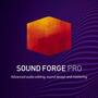 Звуковой редактор MAGIX SOUND FORGE Professional 18 (лицензия)