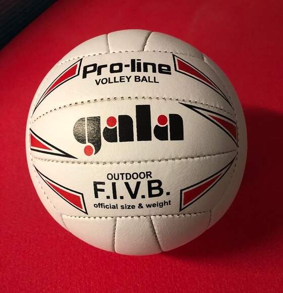Мяч волейбольный Gala Pro-line